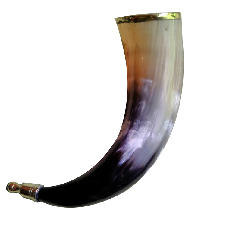 Drinking Horn