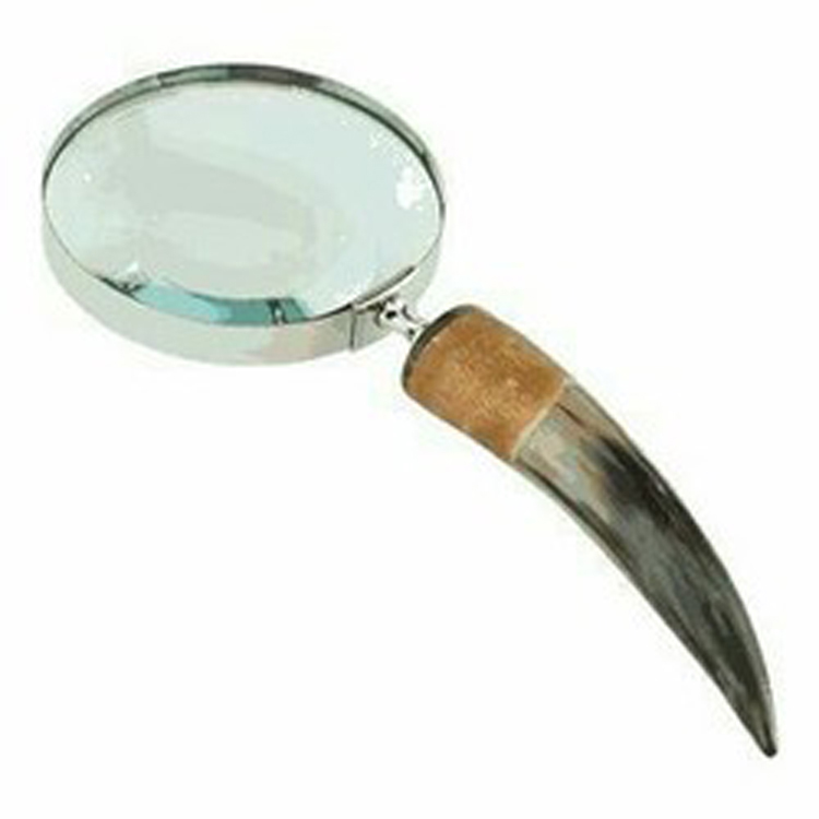 Shoe Horn and Magnifying Glass